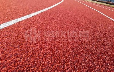 上海应用技术大学